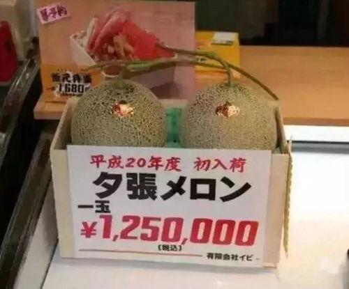 娱乐吃瓜酱玉玺,娱乐吃瓜酱揭秘神秘玉玺背后的故事